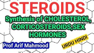 STEROIDS | SYNTHESIS OF STEROIDS (URDU HINDI)SYNTHESIS OF CHOLESTEROL,SEX HORMONES & CORTICOSTEROIDS