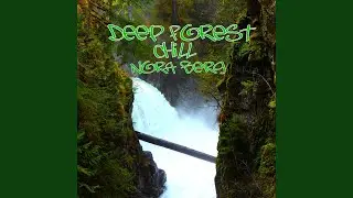 Deep Forest Chill