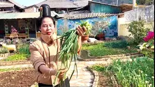 Các anh chị em đi ăn mừng nhà mới quàng lả toàn đi lạc đường rất thương mọi người 