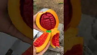 5 Fruit Myths You Still Believe