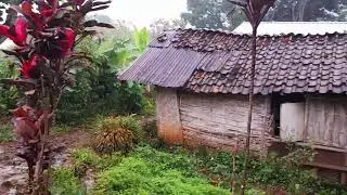 Suasana hujan di pedesaan dusun kandangan pegunungan wilis #gunungwilis #hujan #pedesaan