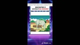 Transmissão ao vivo de Arte Ponto