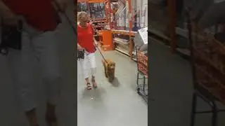 Sarah 1st time out of the house at Home Depot
