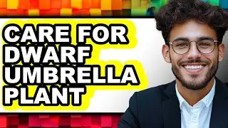 How To Care For Dwarf Umbrella Plant (UPDATED)