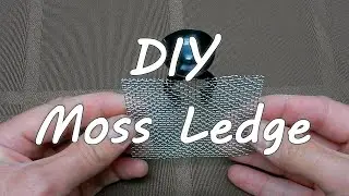 DIY Moss Ledge