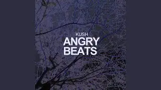 Angry Beats