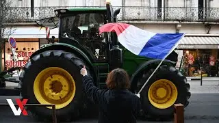 Автоколонна трактористов протестует против французских мер по борьбе с &laquo;коровьим COVID&raquo; | VERTEX