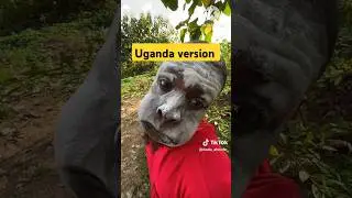 Uganda comedy #uganda #comedy #africa video #randimshortsvideos #foryou #funny