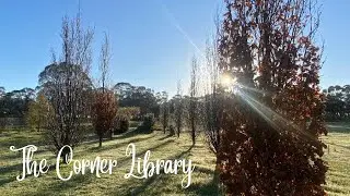 THIS IS IT.  Finally, our book competition and a few other bits and bobs/The Corner Library