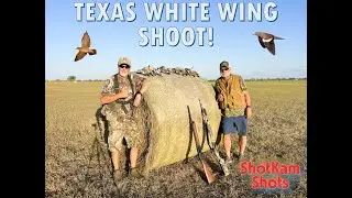 Awesome Opening Dove Hunt With ShotKam