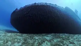 Tug2 Exiles riff. Insta360 Xa Dive Case Pro