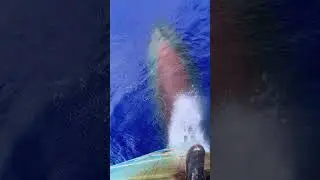 ship mai rolling pitching kaise hoti hai