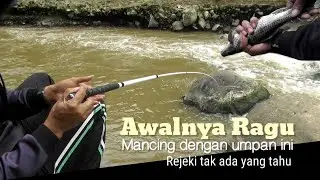 AWALNYA RAGU MANCING DENGAN UMPAN INI‼️Nutul Melem