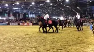 CARROUSEL COB NORMAND/PERCHERON SIA 2014