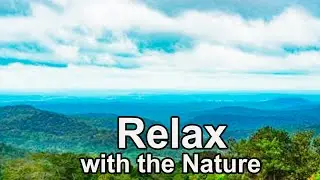 Relaxing with Nature  Landscape of the sea of trees in Mondulkiri province