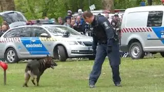Rendőrkutyás bemutató