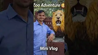 The Zoo Adventure with Kids 🦁🐆 | Mini Vlog   #shorts #minivlog #wildlife #kids
