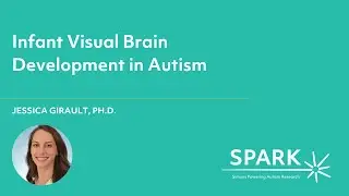 Infant Visual Brain Development in Autism
