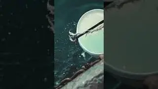 FDM8    Vid&eacute;o Teasing