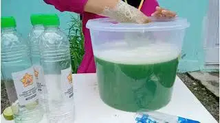 Tutorial membuat sabun cuci piring dari bahan alami (pandan dan jeruk nipis)