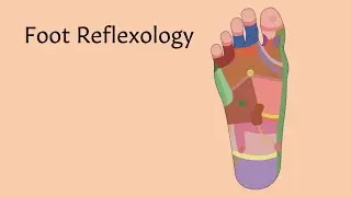 Foot Reflexology | AnatomyStuff