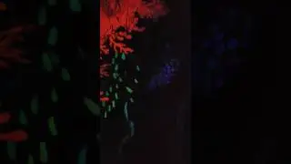 3D Funhouse @ Virginia Beach July 2017 #2