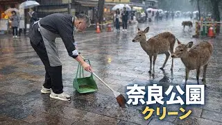 奈良公園の鹿が可愛すぎる🦌#narapark 