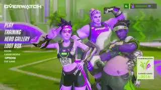 Overwatch   #1 Ranked Bastion