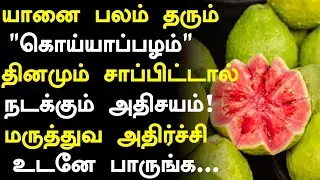 கொய்யாப்பழம் நோய்களே வராது! |Guava Fruit Health Benefits in Tamil| Health Tips in Tamil