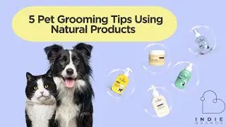 5 Pet Grooming Tips Using Natural Products