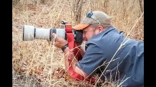 Canon R5 & Canon RF 100-500mm F4.5-7.1L IS USM for Wildlife