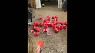 Nerf Rival Perses vs 55 red solo cups