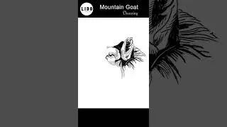 Ibex (Mountain Goat) Realistic Contour Drawing &ndash; Step-by-Step Wildlife Art Tutorial #lidoartworks