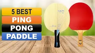 Best Ping Pong Paddle 2026 | Top 5 Ping Pong Racket Paddle on AliExpress