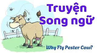 Truyện Song ngữ Anh - Việt | Why Fly Pesters Cow? 🐄| English for Beginners