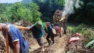 Off-the-Grid Life: Wood Transport by Tractor in Rural Vietnam. Life far away from civilization