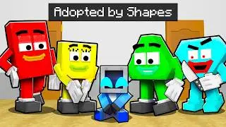Adopted by SAVE THE SHAPES in Minecraft!