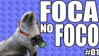 Foca no Foco #01: Como era o Foco antigamente