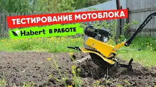 Тестирование мотоблока Habert в работе