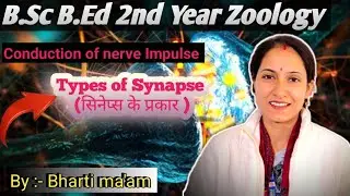 B.sc b.ed 2nd year zoology,Types of Synapse सिनेप्स के प्रकार,by Bharti ma'am #2026 #trending #viral