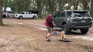 Russell - Training