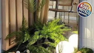 핑크 White Linen House,3br | Seoul, South Korea | Hotel Review 🏩