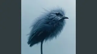 Summer Rain