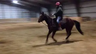 How I Learnt To Play Polo