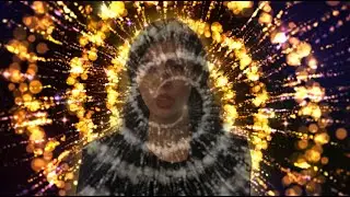 Stepfield - Silent Petals (Official Video)