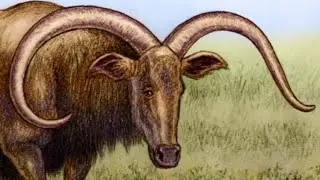 Pelorovis Oldowayensis Sound Effects