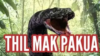 THILMAK PAKUA