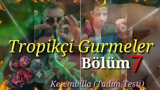 Ketembilla tadım testi, ceylon gooseberry, egzotik meyve, tropik meyve, &uuml;z&uuml;ms&uuml; meyveler, ekşi tatlar