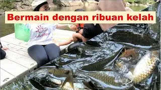 Kelah Sanctuary | Kenyir Lake Malaysia