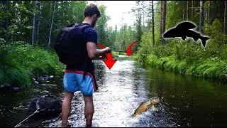 Ich entdecke einen GEHEIMEN Bach in SCHWEDEN 🏕️🎣